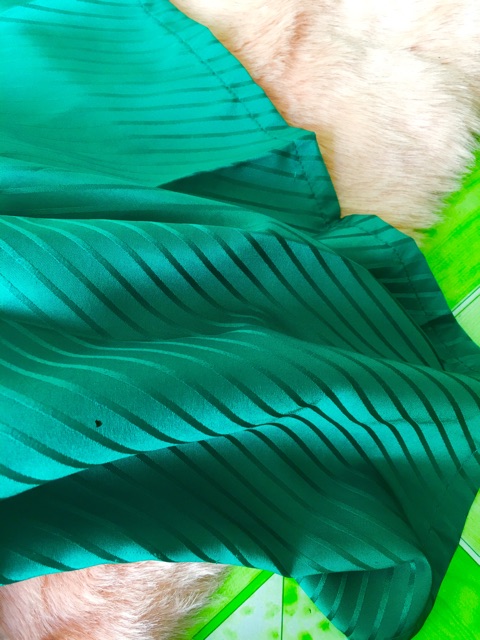 Đầm dự tiệc