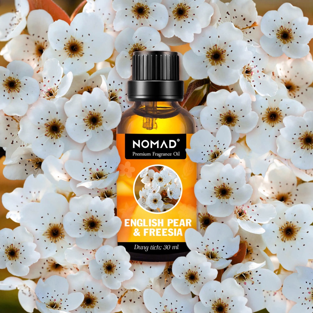 Tinh Dầu Thơm Cao Cấp Dùng Cho Khách Sạn Nomad Premium Fragrance Oil