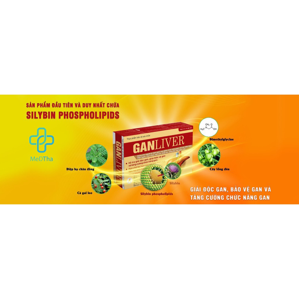GANLIVER - Hỗ trợ Giải độc gan, Bảo vệ gan, Mát Gan, Tăng cường Chức Năng Gan (Hộp 20 viên) [Chính Hãng]