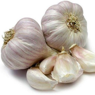 Bột Tỏi 100g