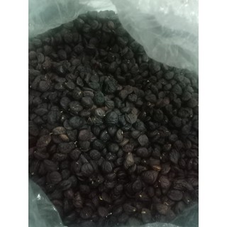Hạt dổi 100g - loại đặc biệt (Thực Thảo)