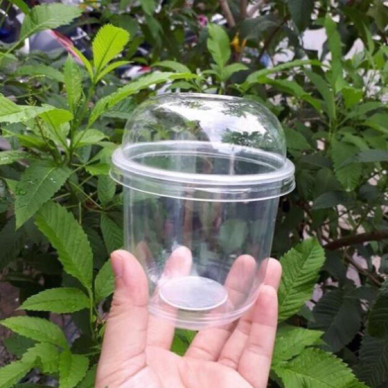 50 cốc đáy bầu/ Cốc chữ U kèm nắp cầu  Hoặc nắp phẳng 360ml-500ml