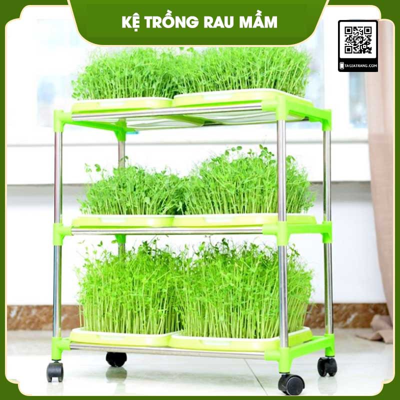 Bộ giá kệ khay trồng rau mầm thủy canh chuyên dụng 3 tầng 6 khay