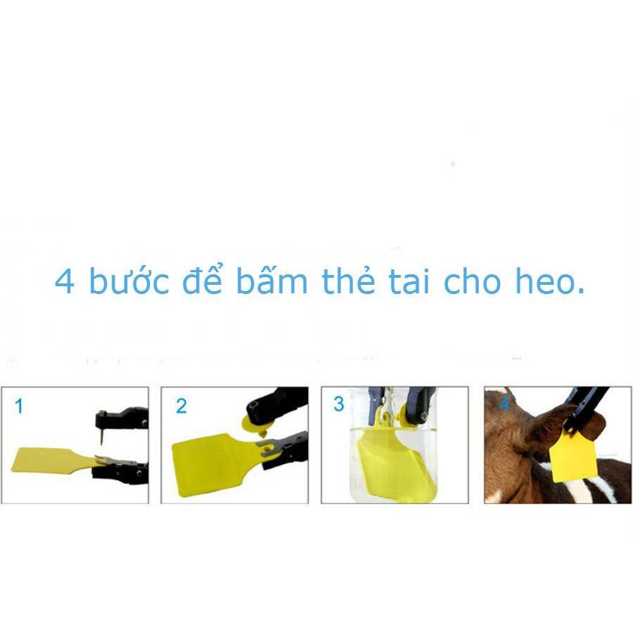 THẺ ĐEO TAI HEO LOẠI KHÔNG SỐ BỘ 10 THẺ