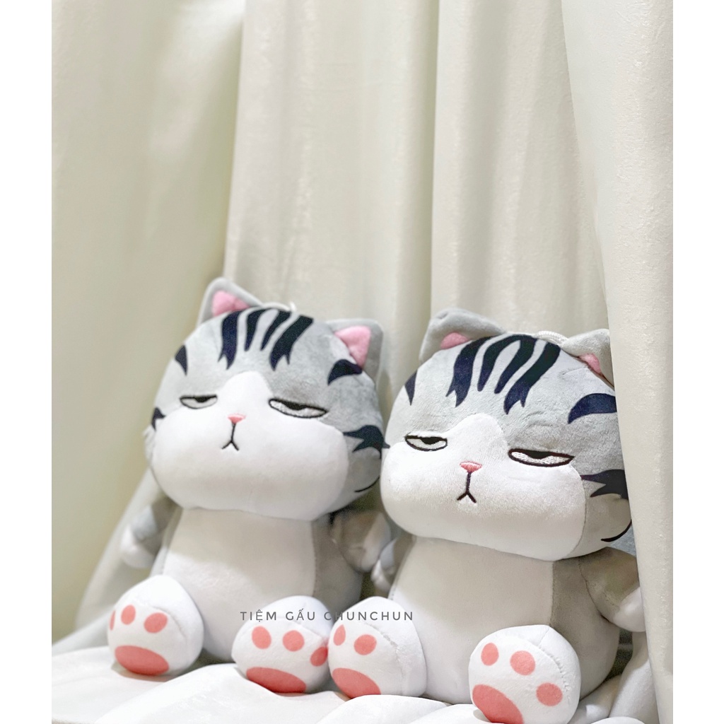 Gấu Bông Mèo Hoàng Thượng sz nhỏ Cao Cấp ,gấu bông trang trí trong phòng, bàn học, bàn làm việc, gấu bông cao cấp