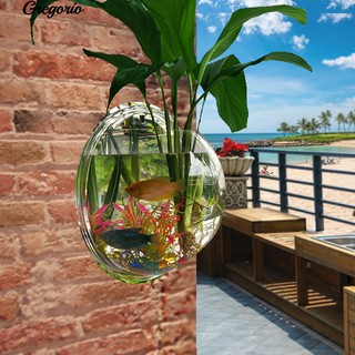 Chậu Cây Cảnh Treo Tường