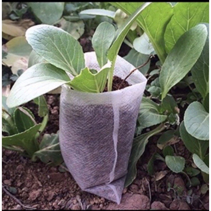100 Túi vải ươm cây tự huỷ nhiều kích thước