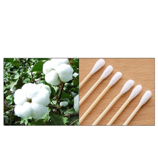 COMBO 5 GÓI TĂM BÔNG BB BASIC 500 QUE THÂN TRE (Thân Thiện Với Môi Trường)
