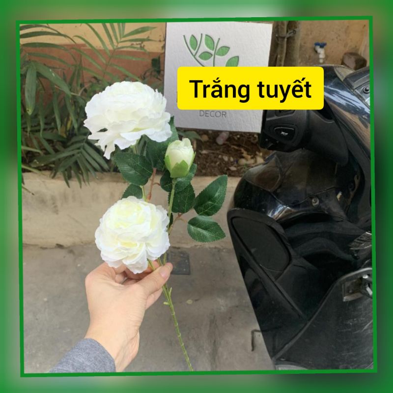 Hoa lụa trang trí  - ⚡𝗛𝗼𝗮 𝗚𝗶𝗮̉ 𝗖𝗮𝗼 𝗖𝗮̂́𝗽⚡-, Hoa hồng mẫu đơn Decor Trang Trí Nhà Cửa Loại 2 bông to 1 nụ