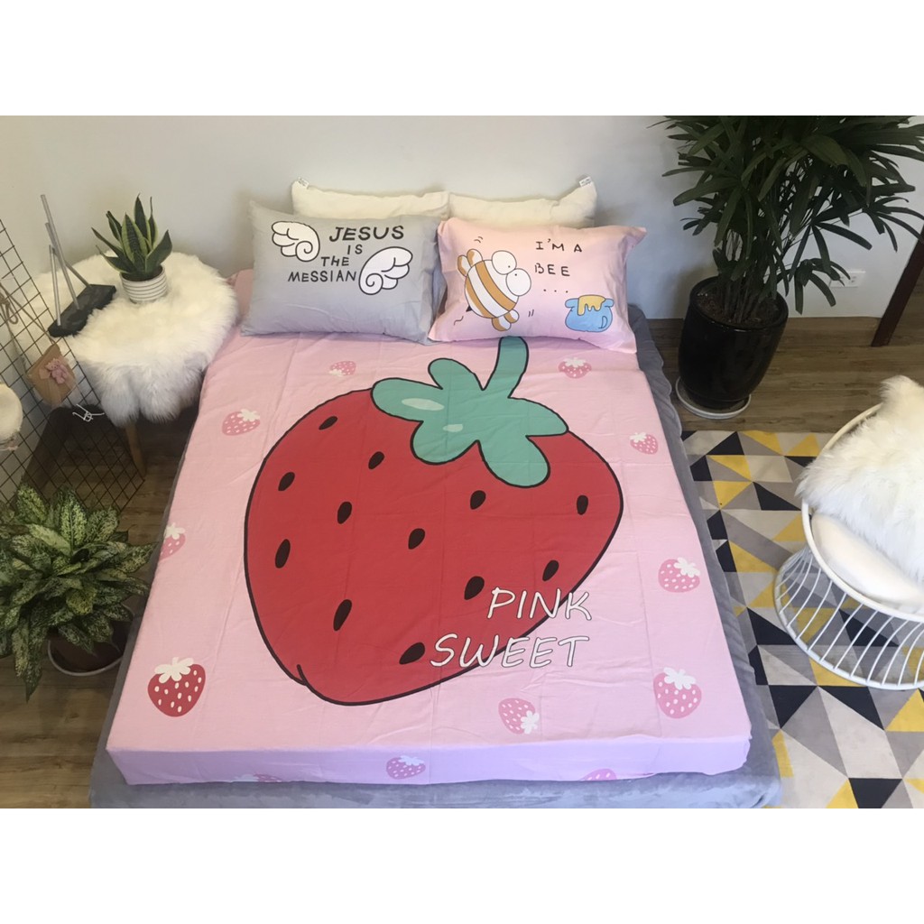 Set ga gối cotton 100% siêu cute ( 1 ga+ 2 vỏ gối)