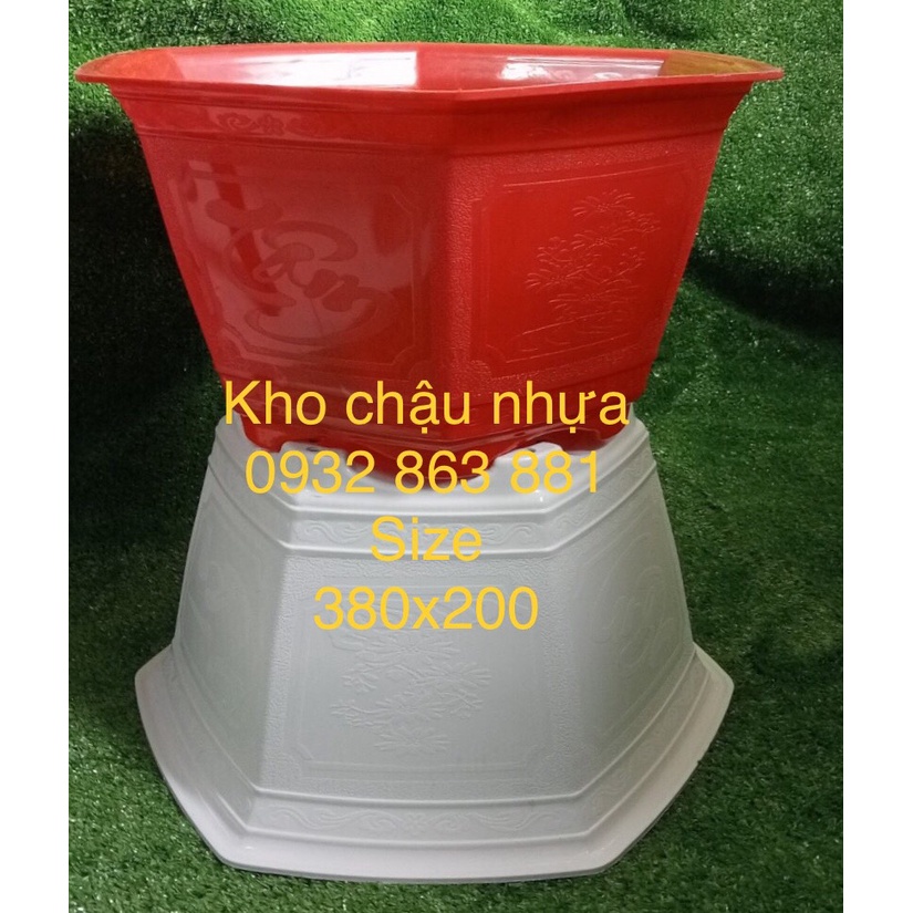 Chậu Nhựa Bát Giác Lùn - Chậu 8 Cạnh Lùn - Chậu Trồng Cây (5size)