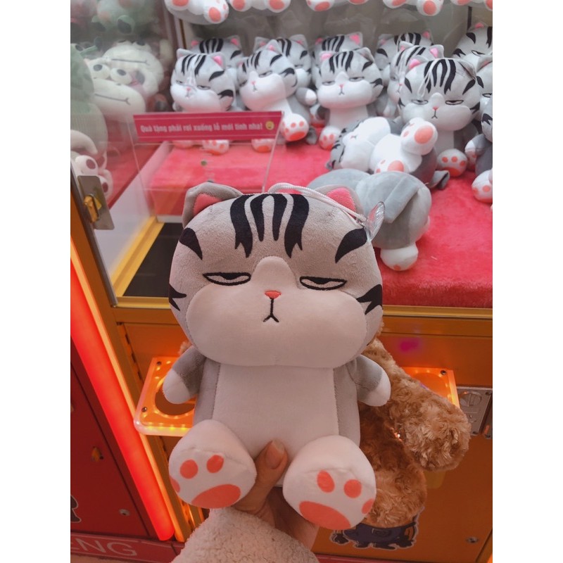 Gấu bông máy gắp gấu