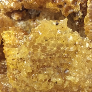 Mật ong đá rừng Tây Bắc