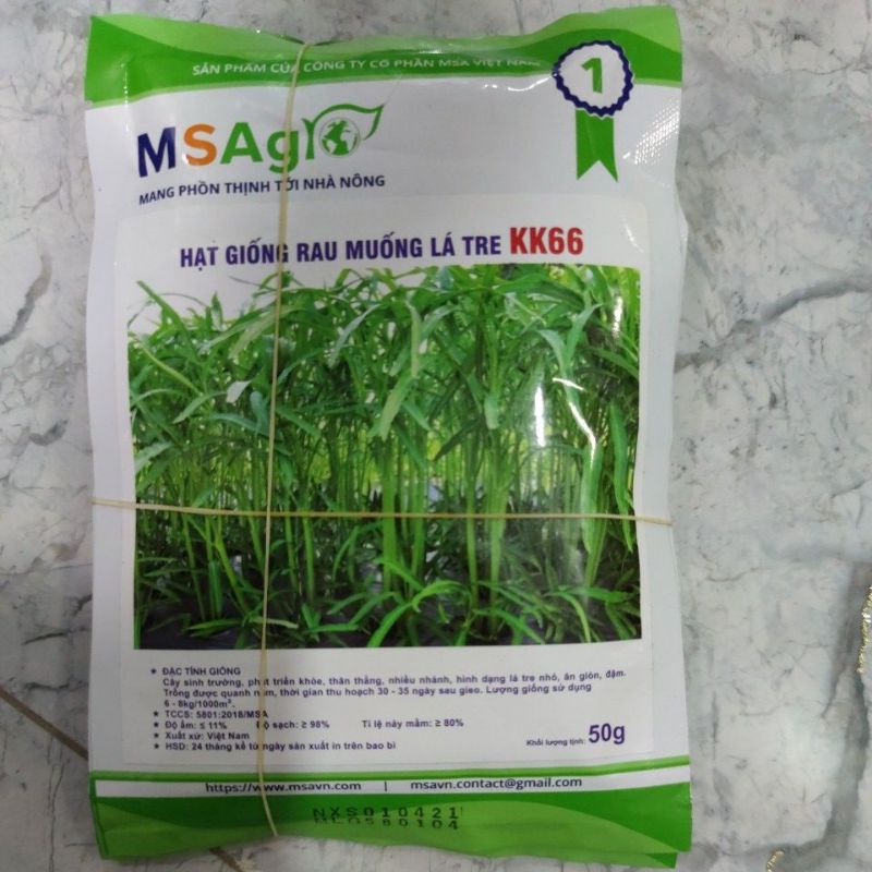 Hạt giống rau muống lá tre HN 50gr