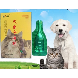 Nhỏ gáy trị ve rận chó mèo, bọ chét