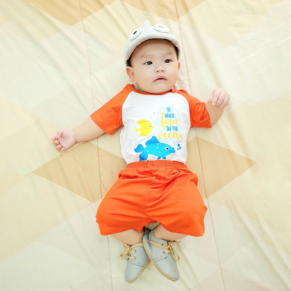 Bộ Quần Áo Bé Trai Toli Chất Liệu Cotton Mềm Mịn, Thoáng Mát, 3 Màu Cực Đáng Yêu 4-16kg