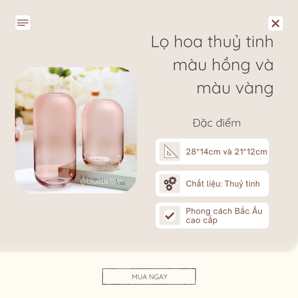 Lọ Hoa Thuỷ Tinh Gradient Màu Hồng Pastel, Màu Vàng - Bình Cắm Hoa Phong Cách Bắc Âu Kèm Hoa BlueBell