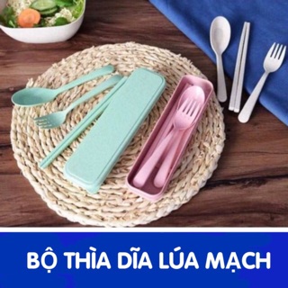 Bộ thìa kèm đũa từ thân cây lúa mạch