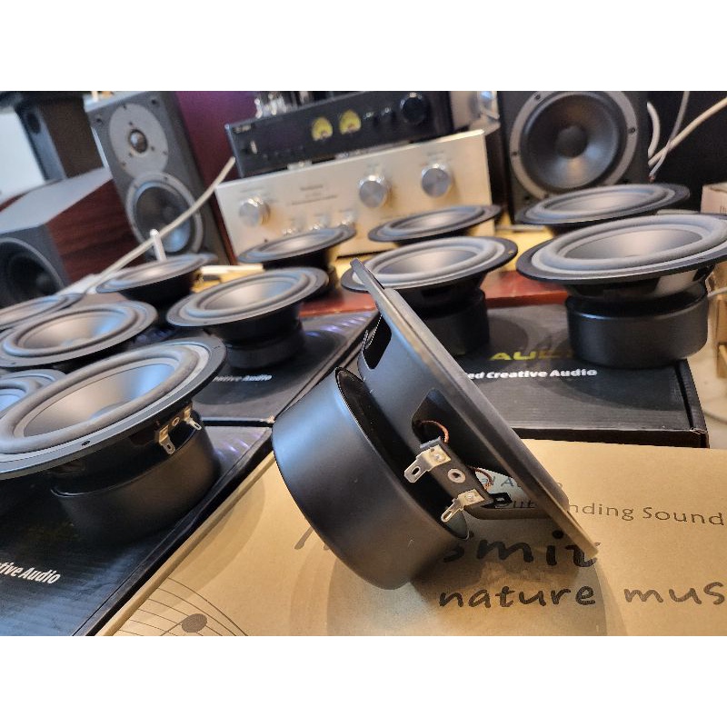 Loa Trung Pioneer P6608, Loa Mid 12