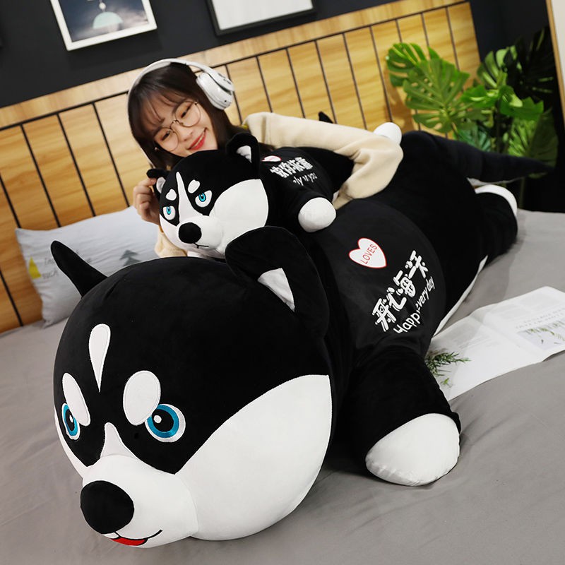 Husky Plush Toy Doll Chó con dễ thương Búp bê Trẻ em Cô gái Quà tặng sinh nhật Gối Ragdoll