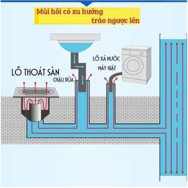 Ống cao su chặn mùi hôi cống thoát sàn, bồn sửa bát, chậu rửa mặt dễ lắp đặt sử dụng bền lâu.