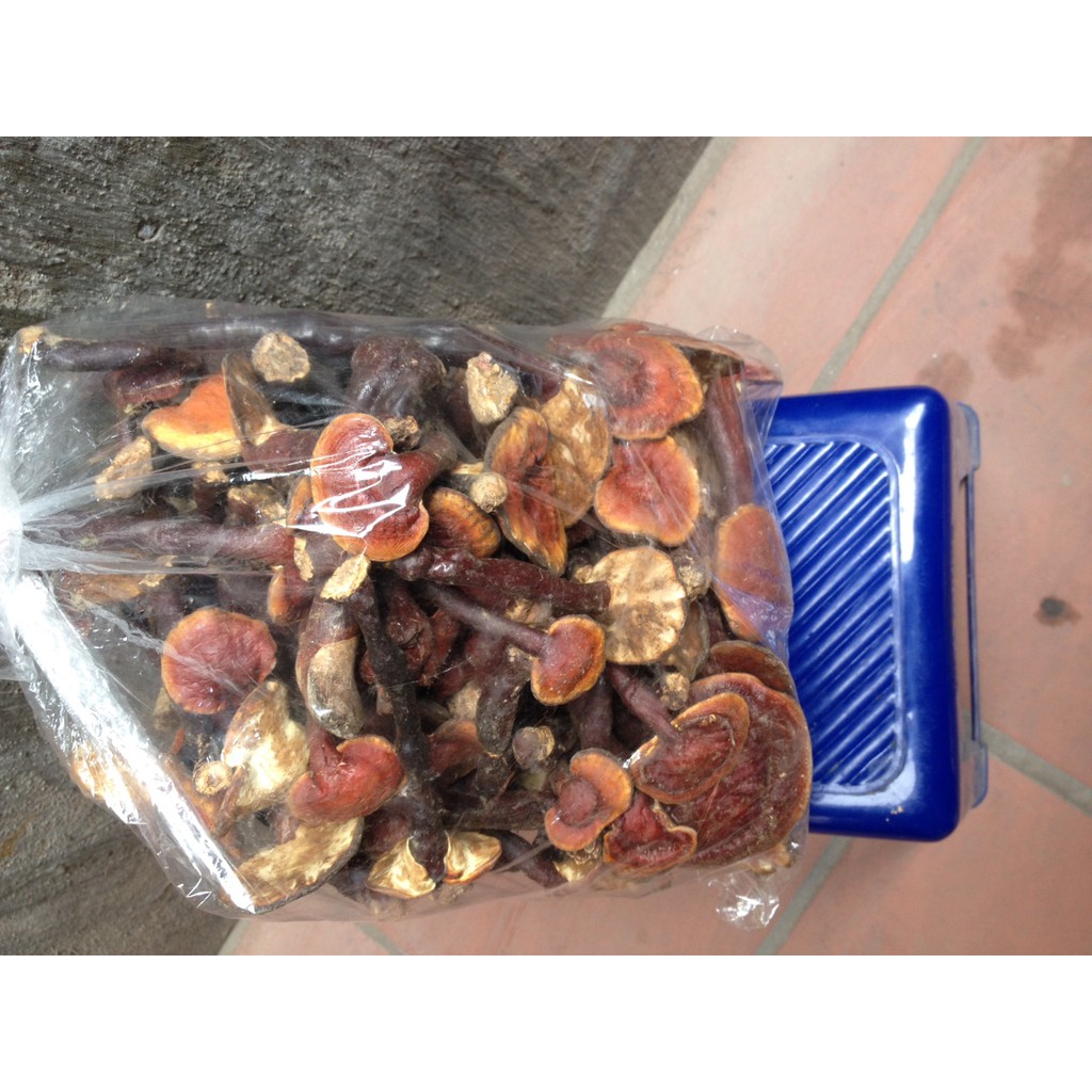 NẤM LINH CHI THÁI LÁT - 100g
