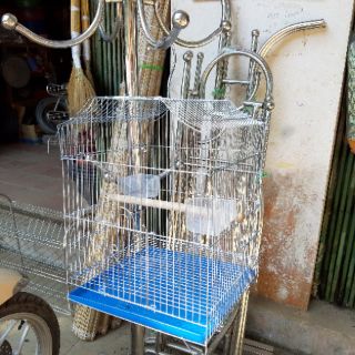 Lồng chim inox, chống gỉ loại đẹp