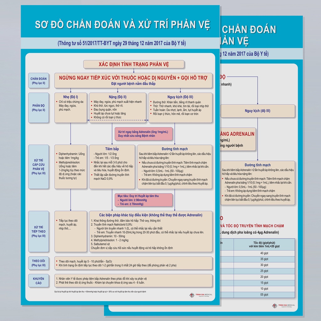 Phác đồ chống sốc Phản vệ - Decal dán