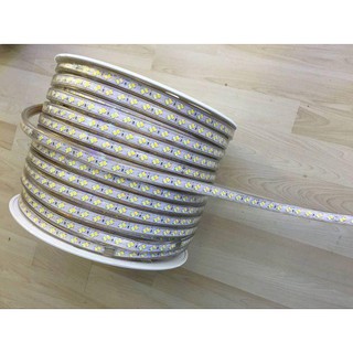 LED dây 220V 5730 5M