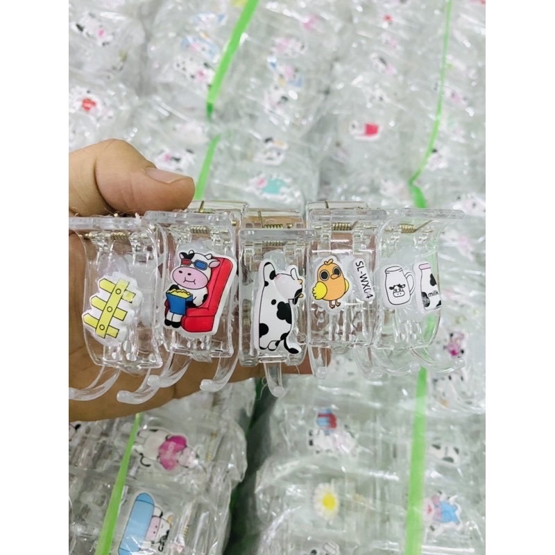 Kẹp 3 răng, 5 răng bò sữa