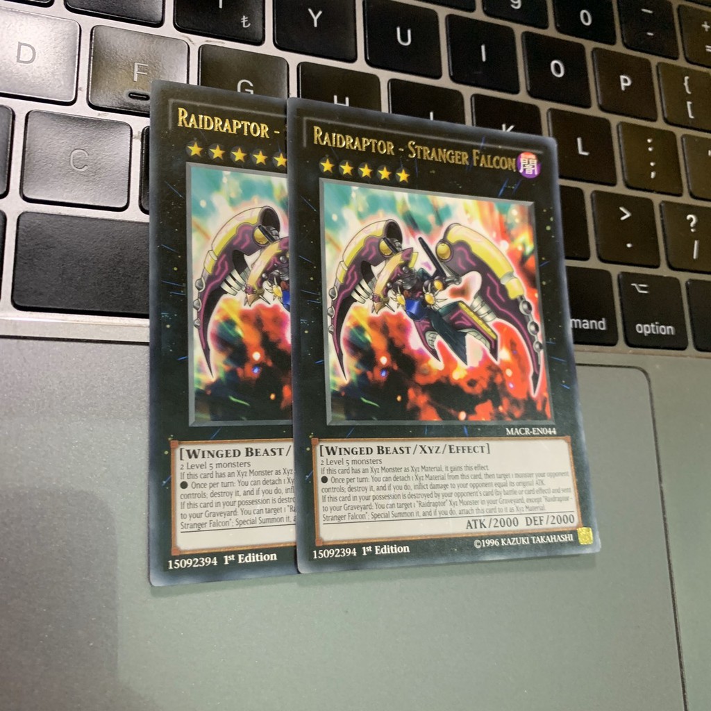 Raidraptor - Stranger Falcon