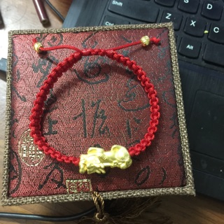 Vòng chỉ đỏ tỳ hưu to