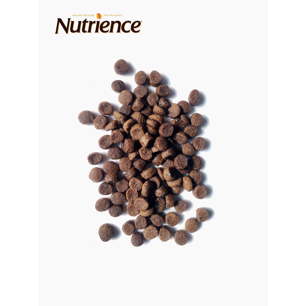 [DINH DƯỠNG CAO] 5KG THỨC ĂN HẠT NUTRIENCE ORIGINAL CAT CHO MÈO TRƯỞNG THÀNH VỊ THỊT GÀ &amp; RAU CỦ - THỨC ĂN CHO MÈO