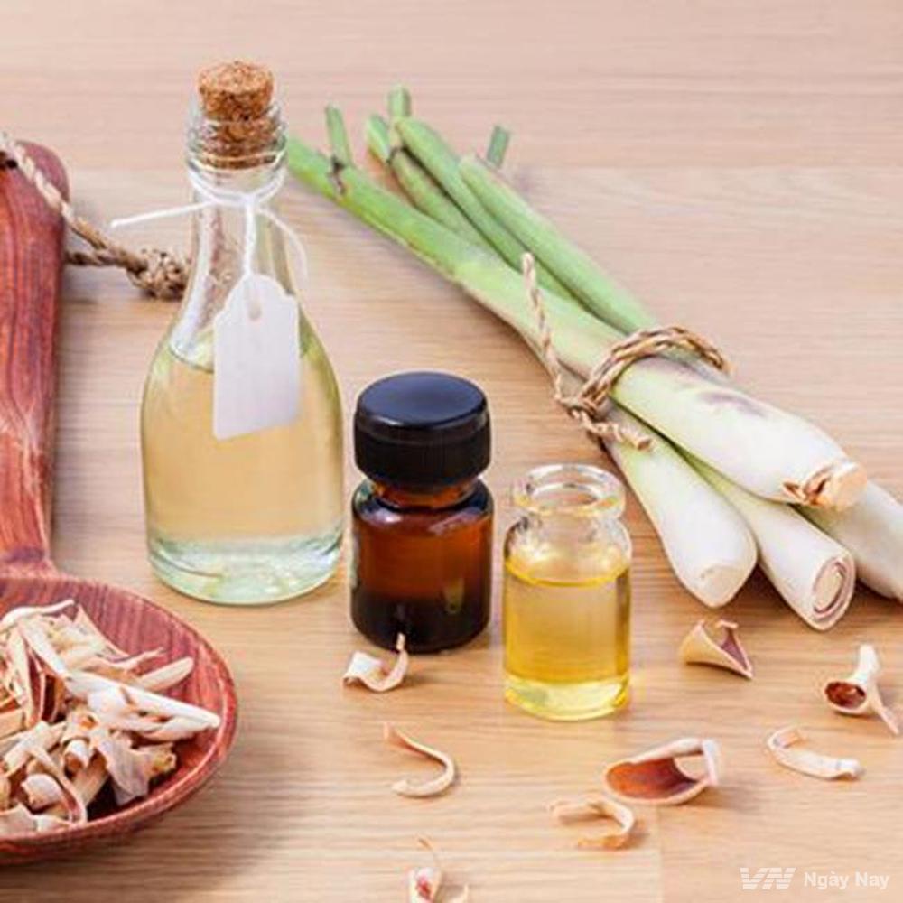 Tinh dầu Sả Chanh nguyên chất TIDAMO 30ML giúp thử giản, khử mùi, đuổi muỗi