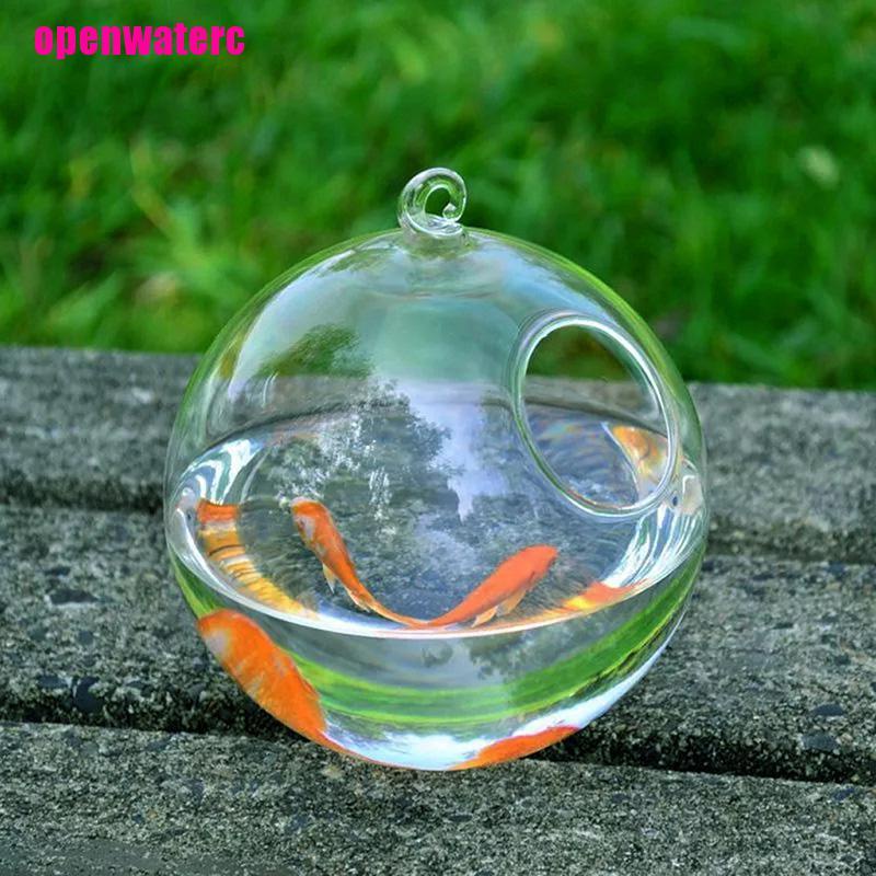 Chậu Kính Trồng Cây Thủy Sinh Treo Tường Trang Trí Nhà Cửa Diy