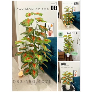 Cây giả decor - cây môn đỏ đầy đủ kích thước 70cm/1m2/1m4/1m6