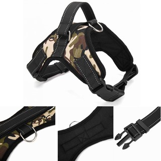 Dây Xích Cổ Điều Khiển Thú Cưng 3 kích thước