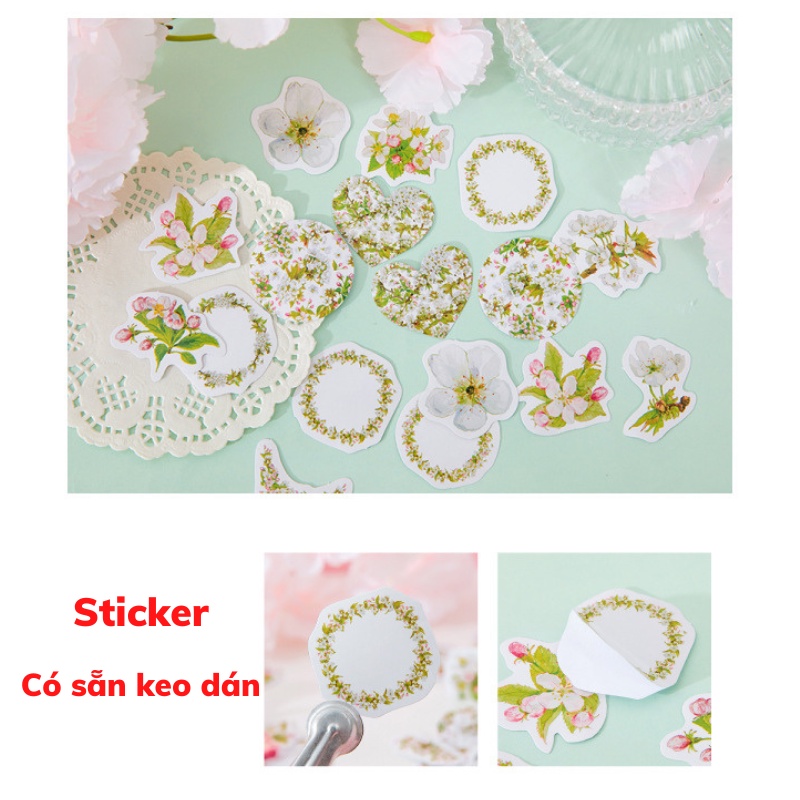 Hộp 46 Sticker Dán Nụ Hoa Anh Đào Trang Trí Sổ Tay Làm Đồ Handmade (Shop J-ArtPens)