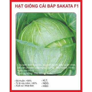 Hạt giống bắp cải nhật - 0,2gram hạt giống bốn mùa