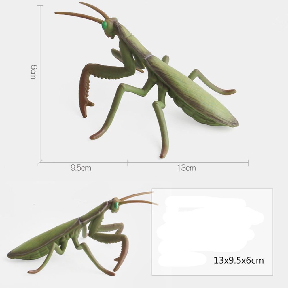 DAPHNE Funny Insect Animals Model Children Gift Growth Cycle Simulation Ladybug 14 Styles Home Decor Miniature Educational Toy Plastic Action Figures