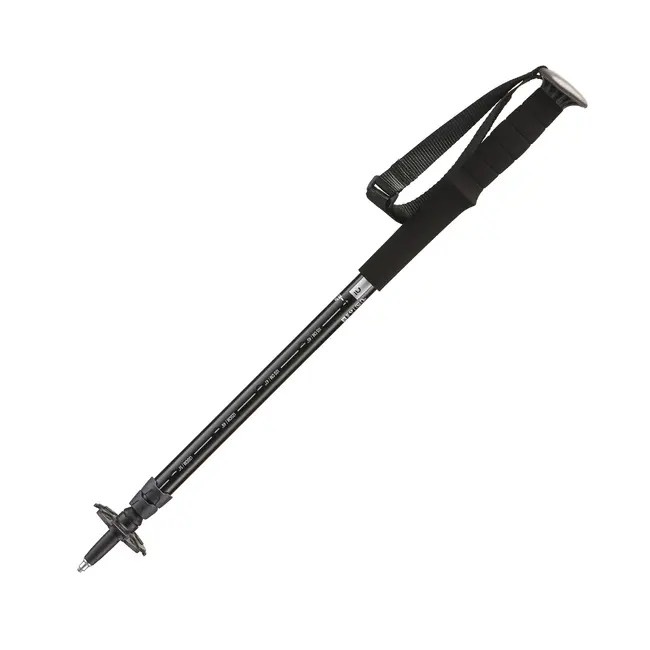 Gậy leo núi Arpenaz 200 - Đen MIRLIK DECA