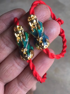 Tỳ hưu đổi màu