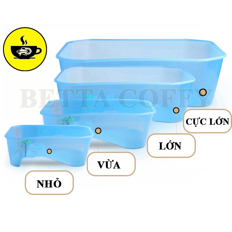 Bể Nuôi Rùa - Nuôi cá ếch thằn lằn chuột đều được - Size Lớn &amp; Cực Lớn