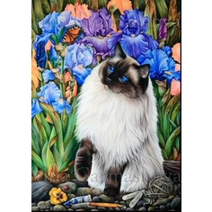 Bộ tranh đính đá 5d họa tiết chú mèo độc đáo kích thước 30x40cm diy dùng trang trí nhà cửa