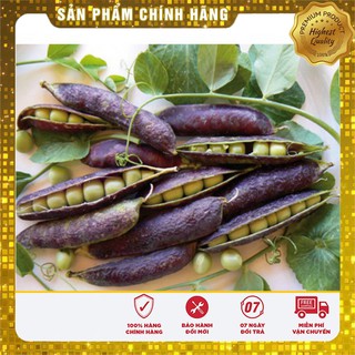 Bộ gói hạt giống Đậu Hà Lan
