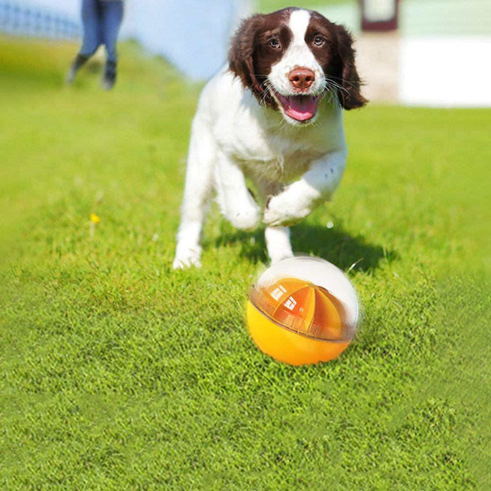 Đồ Chơi Quả Bóng Gặm Thông Minh Cho Thú Cưng