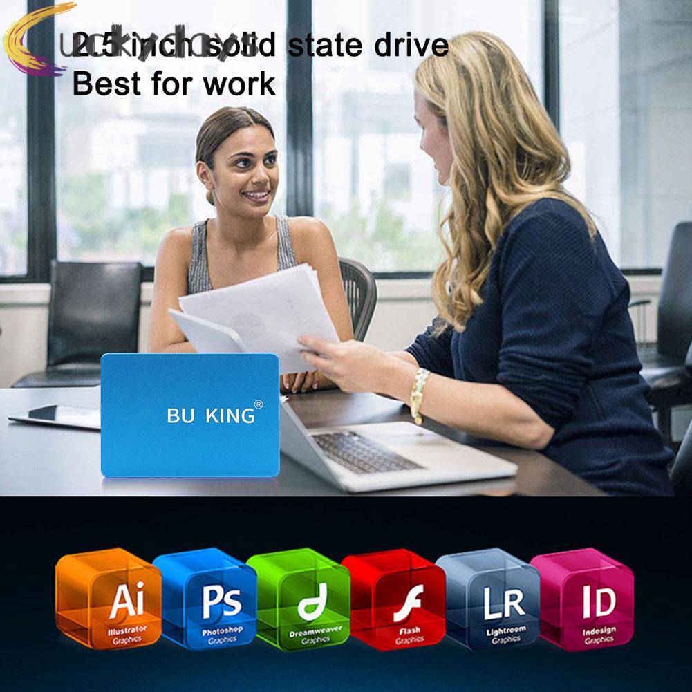 LUCKYDAYS BU KING 2.5 inch SATAIII Internal Solid State Drive Robot Head Pattern Blue | BigBuy360 - bigbuy360.vn