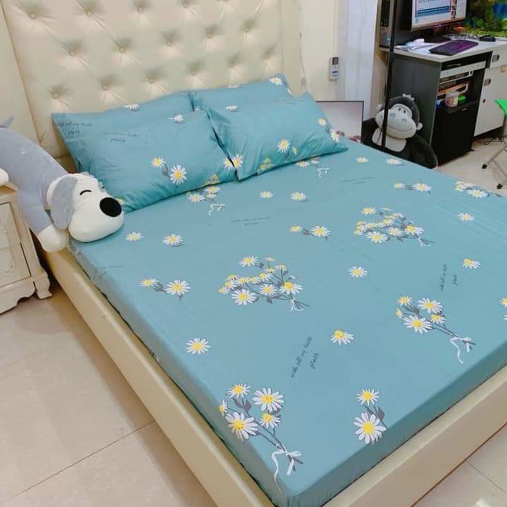 [QUÀ TẶNG KHẨU TRANG] Ga gối poly bộ ga gối Cotton Hàn Quốc đáng yêu Gosan Bedding | BigBuy360 - bigbuy360.vn