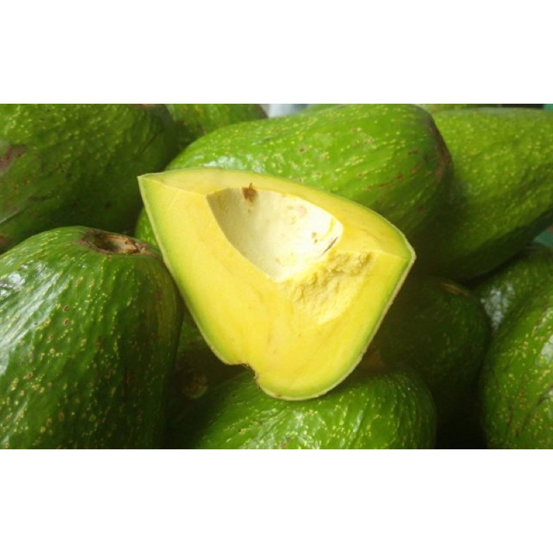 Bơ Sáp Đắk Lắk 1 Kg