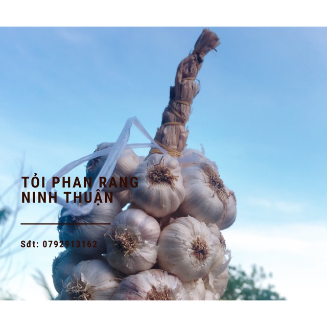Tỏi chùm Phan Rang